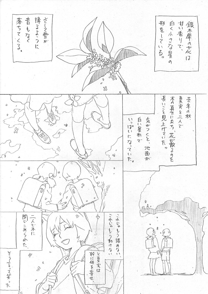 『星の花が降る頃に』葛藤の真相と心情変化を徹底解剖！銀木犀の意味とは