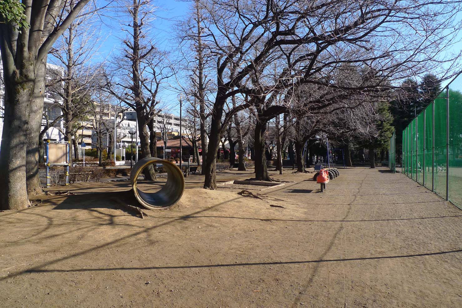 谷保第三公園の魅力検証！D51展示と桜が誇る国立市名所の真実