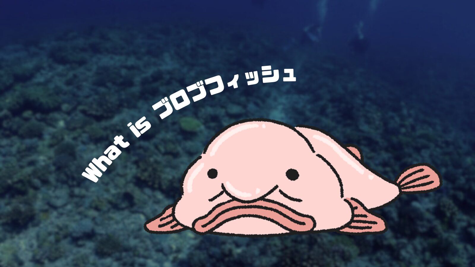 深海魚おじさんの正体とは？醜い顔の理由と本物の魚を徹底解剖