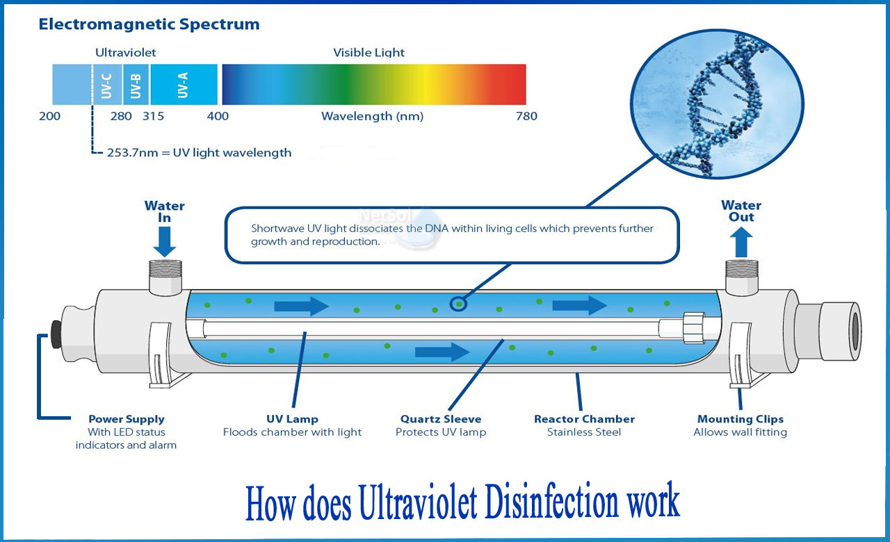 Uv Water Treatment for Harmful Pathogens