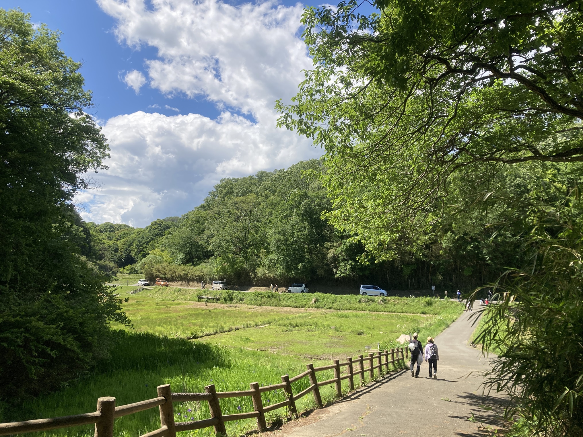 大都市・横浜の隠れ里「寺家ふるさと村」が今、大人たちの癒やしと冒険の聖地として再注目される理由【2026年最新ルポ】