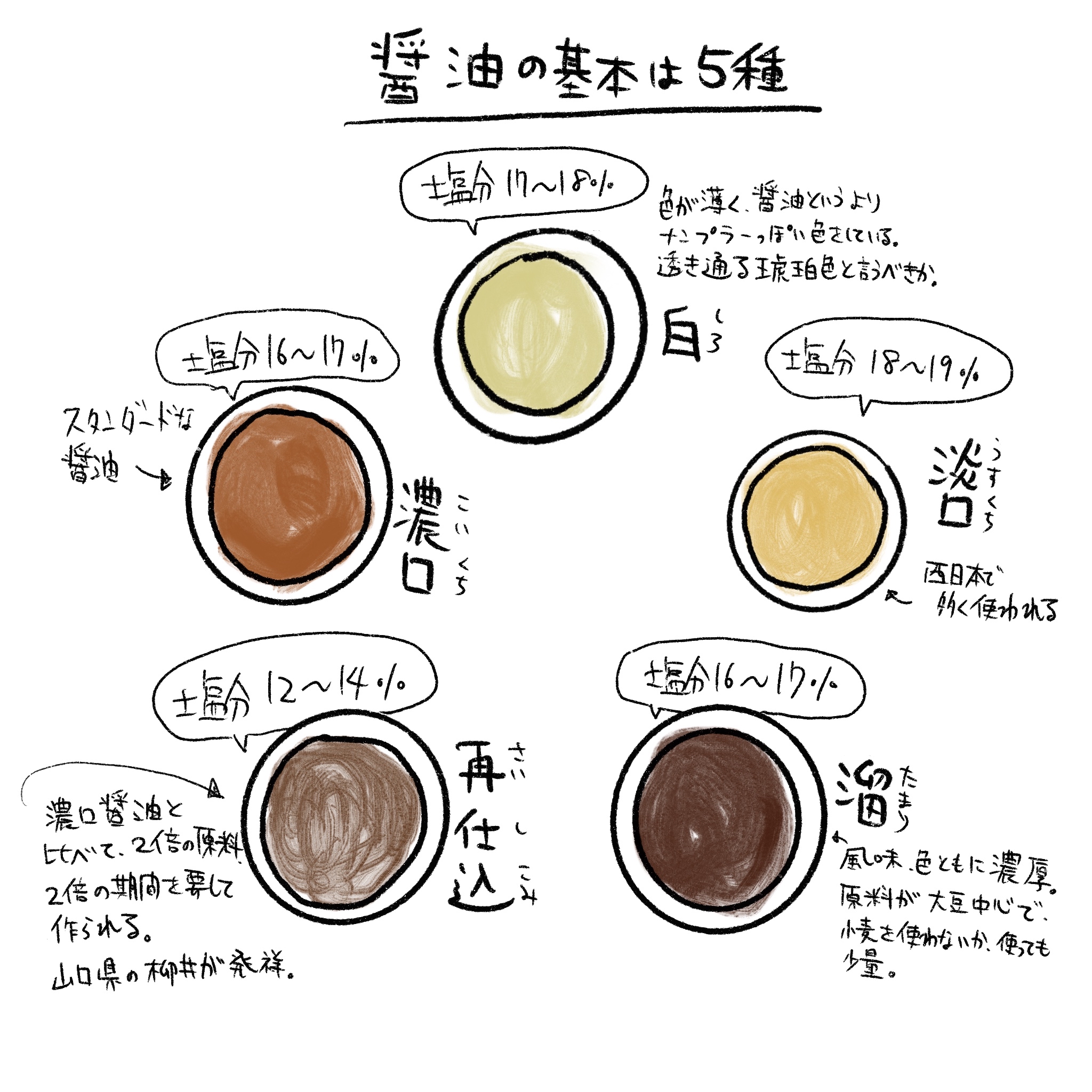 薄口醤油と濃口醤油の違いとは？塩分や使い分けの真相