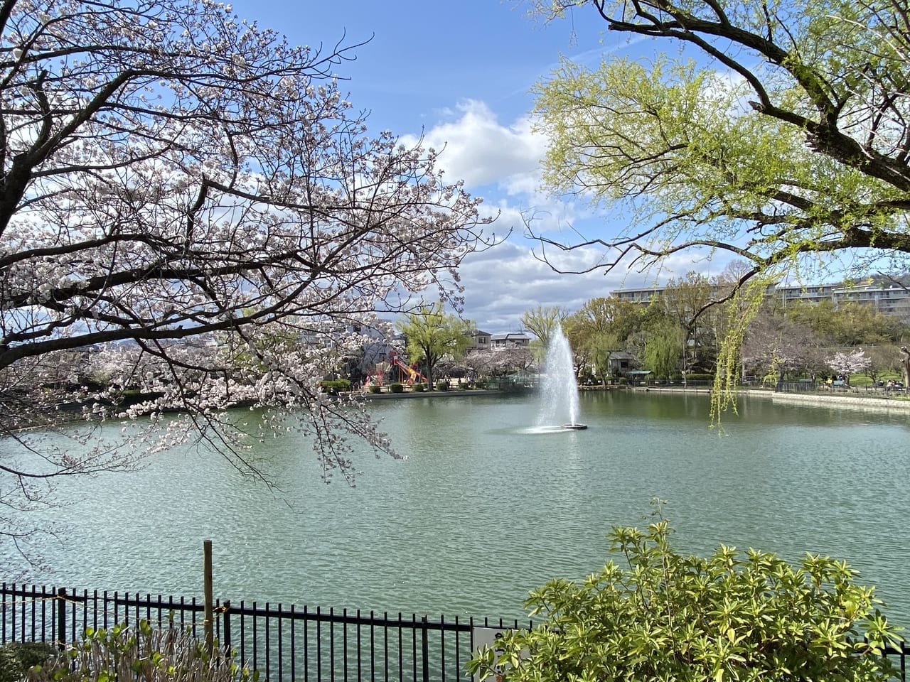 栄の「池田公園」が遂げた劇的アップデート！2026年、ディープな歓楽街から多様性と賑わいが交錯する新たな都市オアシスへ