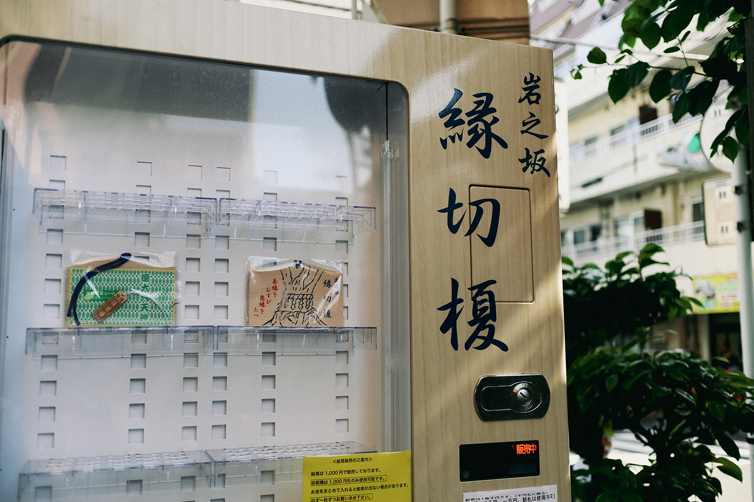 板橋・縁切榎の恐ろしい真相とは？悪縁を断つ正しい絵馬の書き方と作法