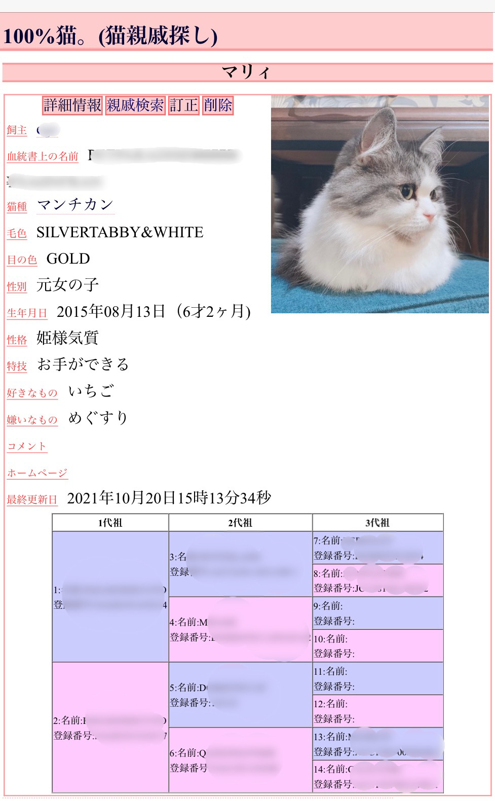 猫の血統書は本当に必要か？価格差の秘密と偽造トラブルの真相