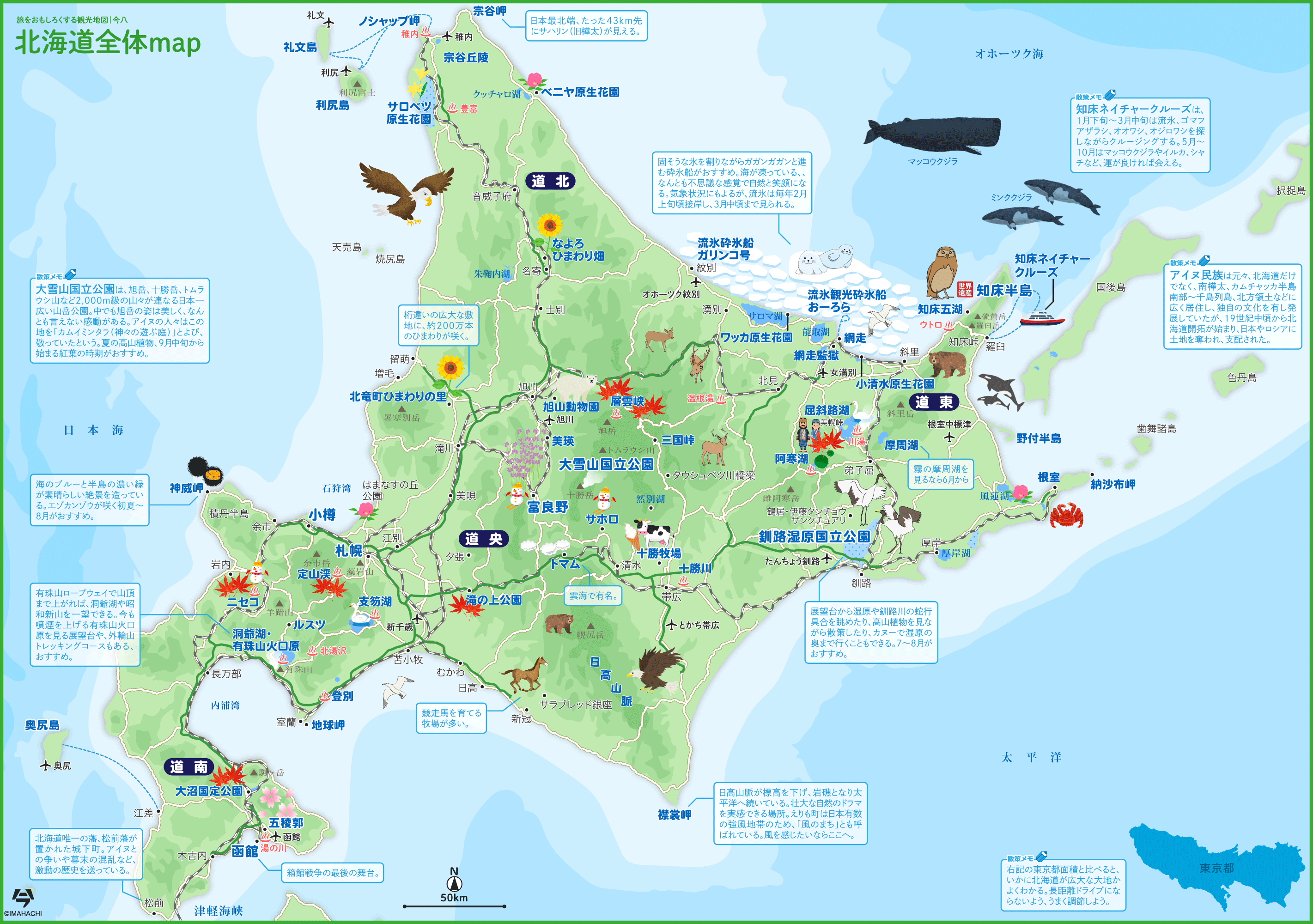 北海道ハイヤー協会の真相｜運賃改定と観光相場・課題を徹底解説