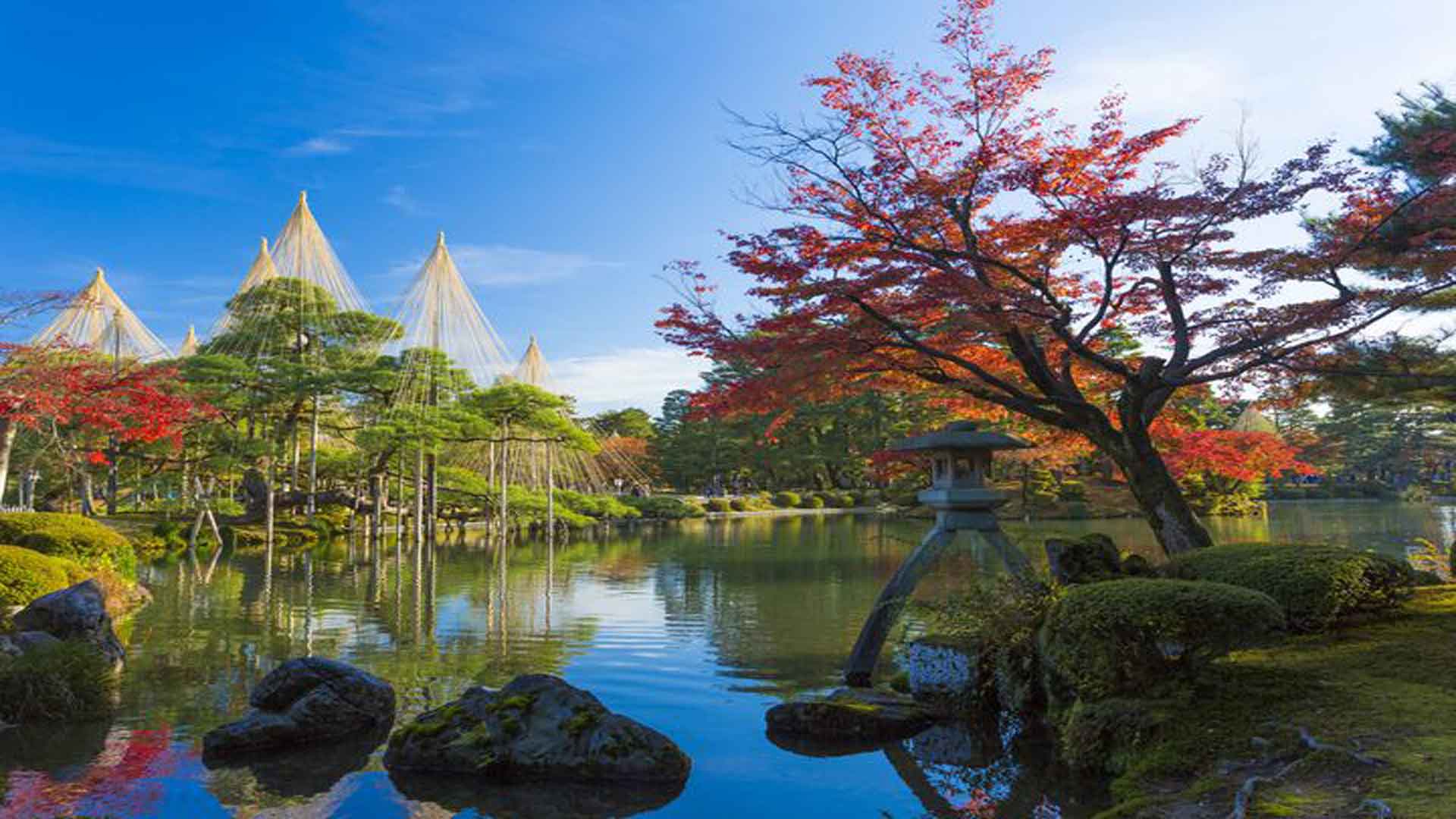北陸新幹線延伸から2年、2026年の「兼六園」が魅せる進化——世界中の旅人を惹きつける至高の庭園美と先端保全の現在地