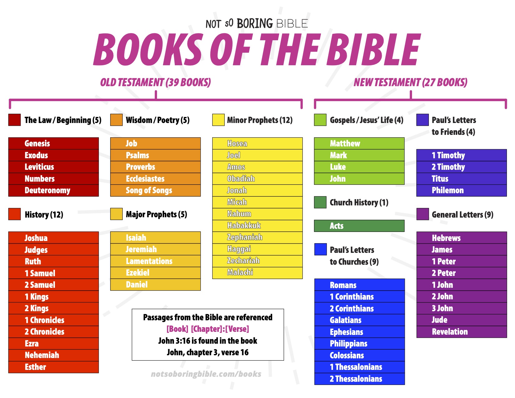 Books of the Bible Explained Verse by Verse