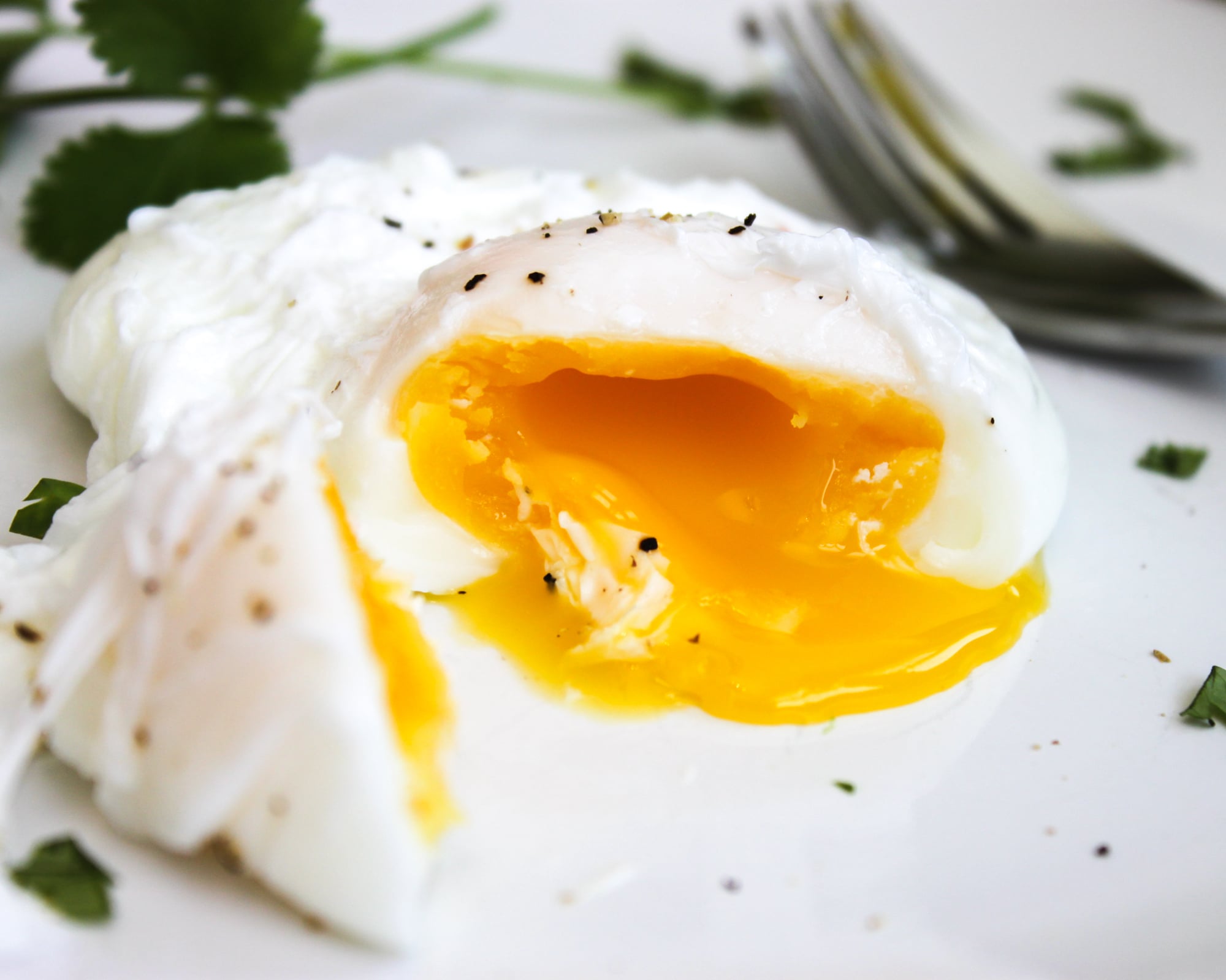 How to Make a Perfect Poached Egg