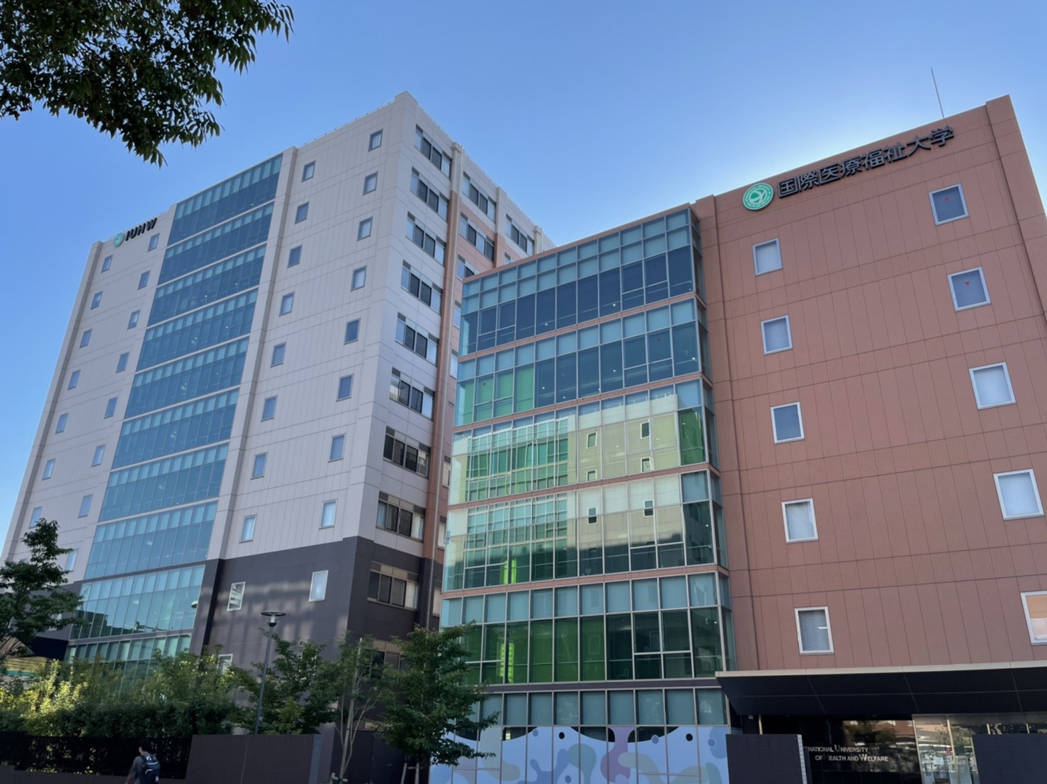 国際医療福祉大学成田キャンパスの評判と医学部学費の実態【2026年最新】
