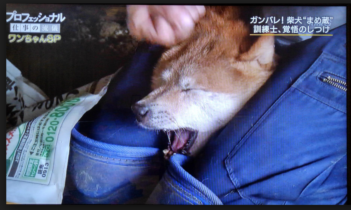 Netflix独占作始動！映像クリエイター中村信哉の極秘スクープ
