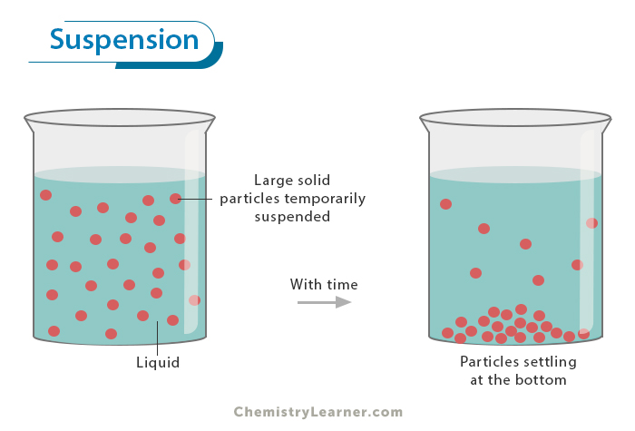 How Do Suspensions Differ from Solutions