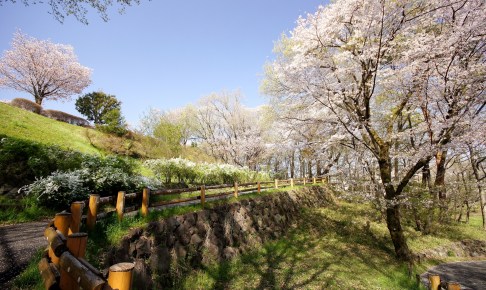 【真相】 桜ヶ丘 公園 ゆう ひ の 丘 気になる噂と真相 #839