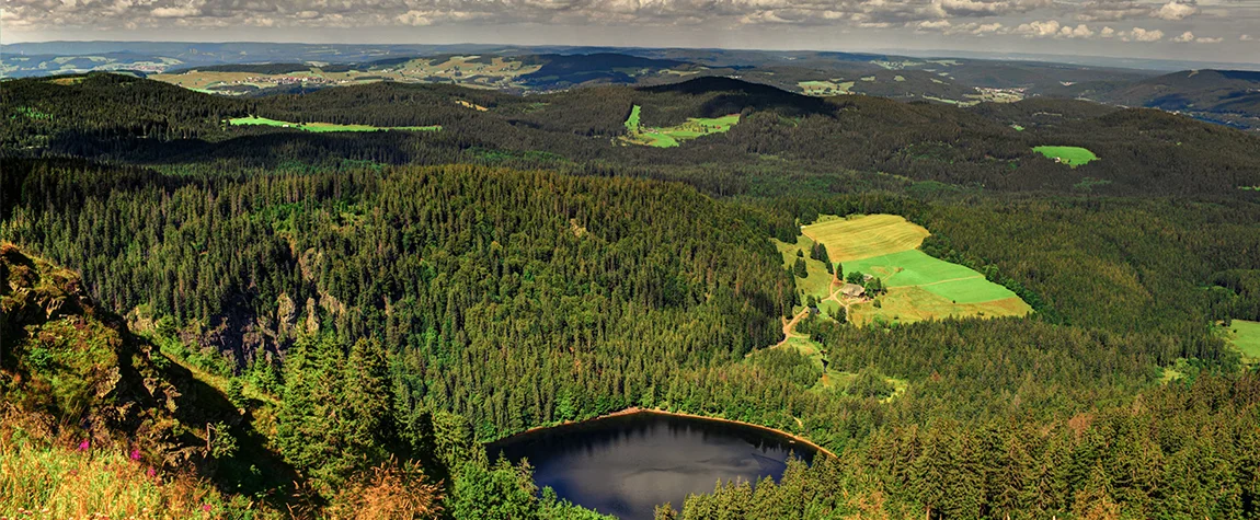 Why Is It Called the Black Forest