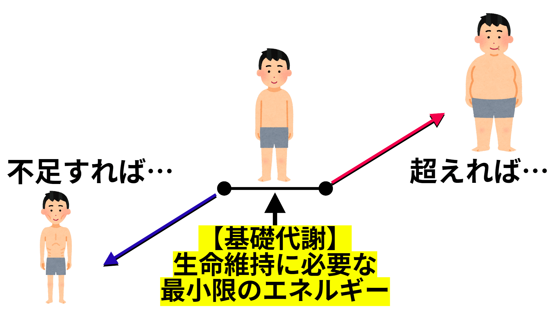 食べてすぐ横になると太る？牛になる真相と消化を助ける正しい休息法