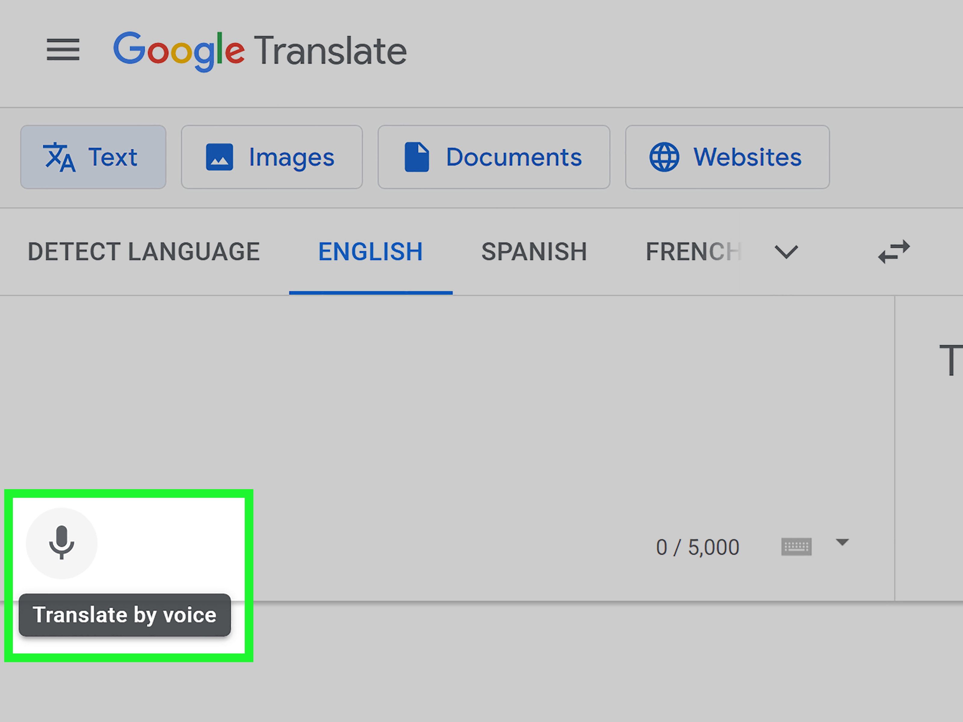 Google Translate English