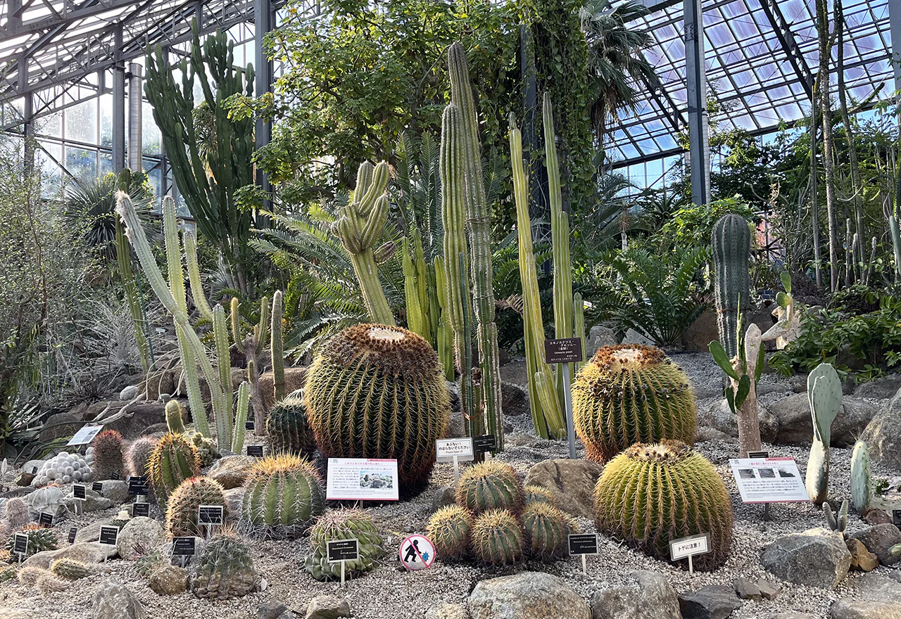 筑波実験植物園の見どころ完全攻略！温室・開花情報から混雑回避まで