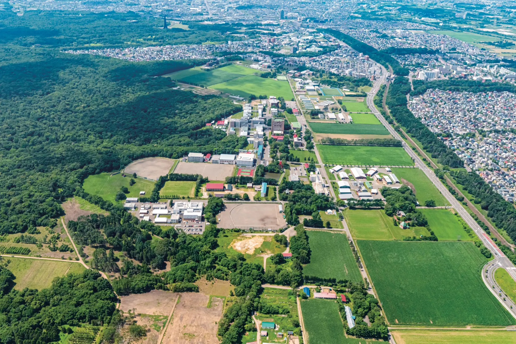 酪農学園大学はやばい？噂の真相と2026年最新偏差値・就職の実態