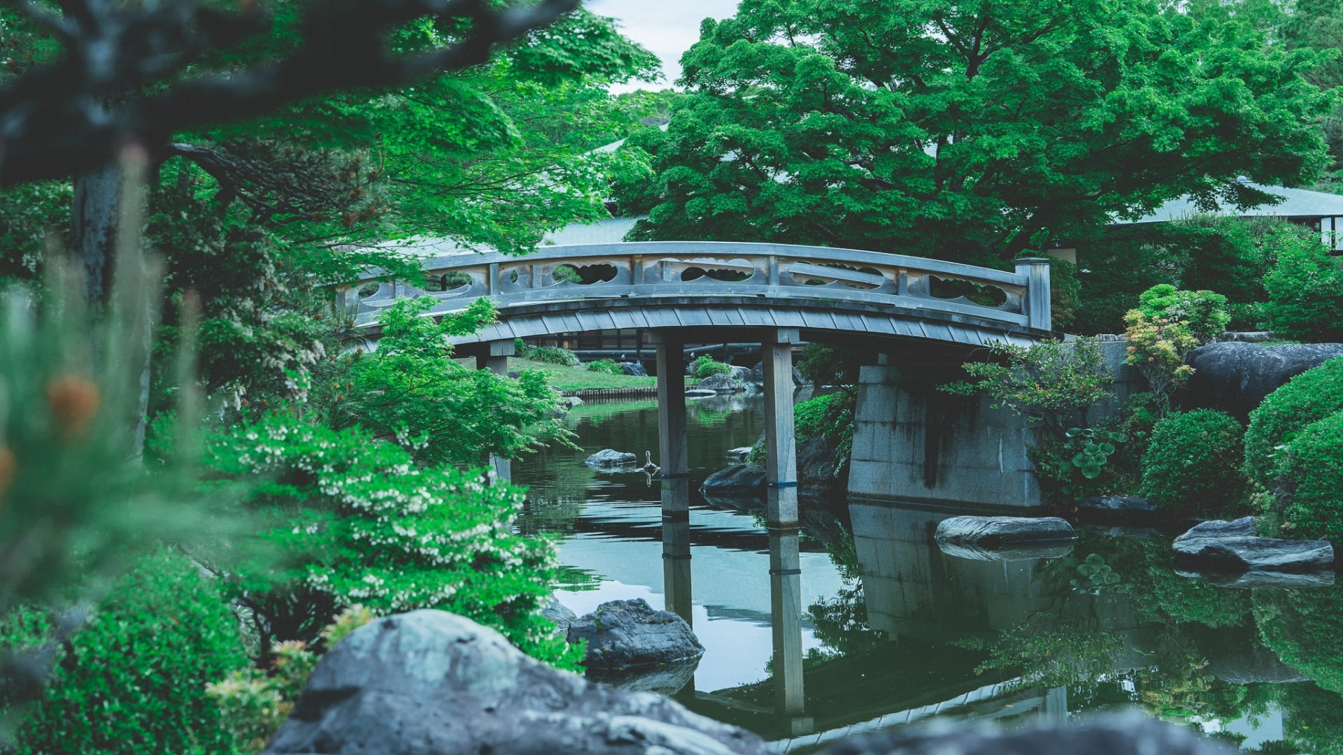 大仙公園日本庭園が前撮りで絶賛される理由と混雑の真相【2026最新】