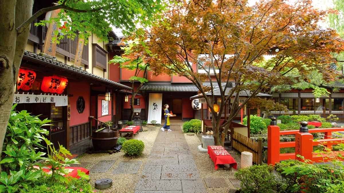 とうふ屋うかい予約の裏技と評判検証｜価格差や顔合わせの盲点を徹底解説