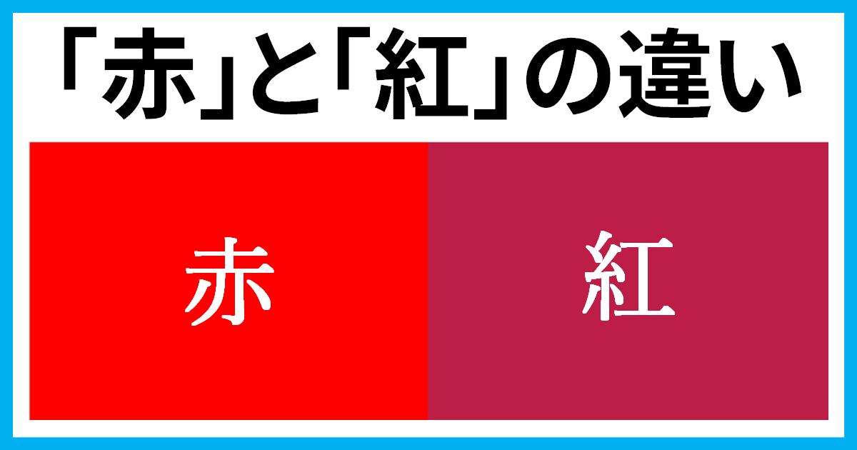 赤味噌と八丁味噌の決定的な違いとは？原料・塩分の真相と使い分け術