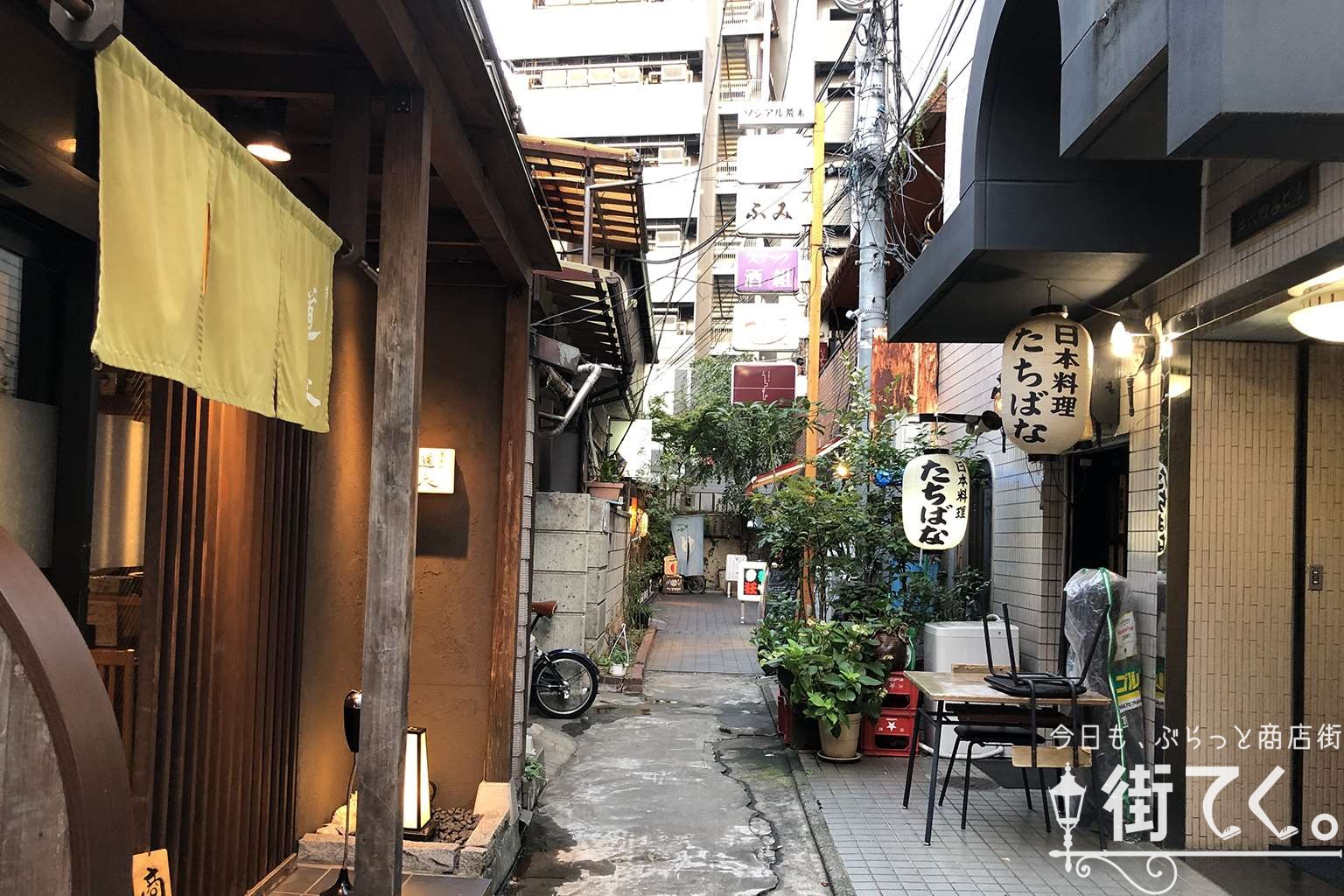 荒木町が食通を魅了し続ける理由｜花街の歴史から名店・予算まで徹底解剖