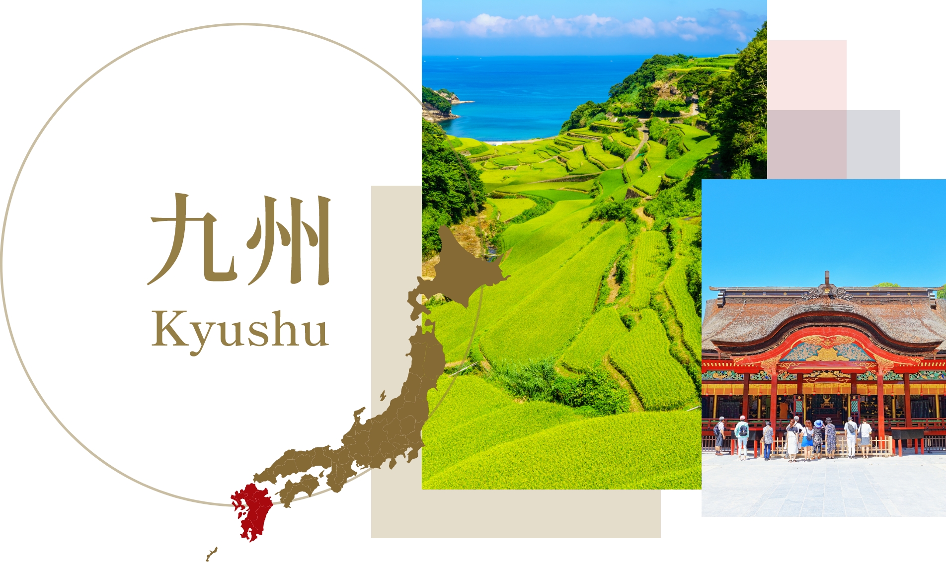 【速報】 九州 に 熊 は いる のか ファン必見の最新情報 #728
