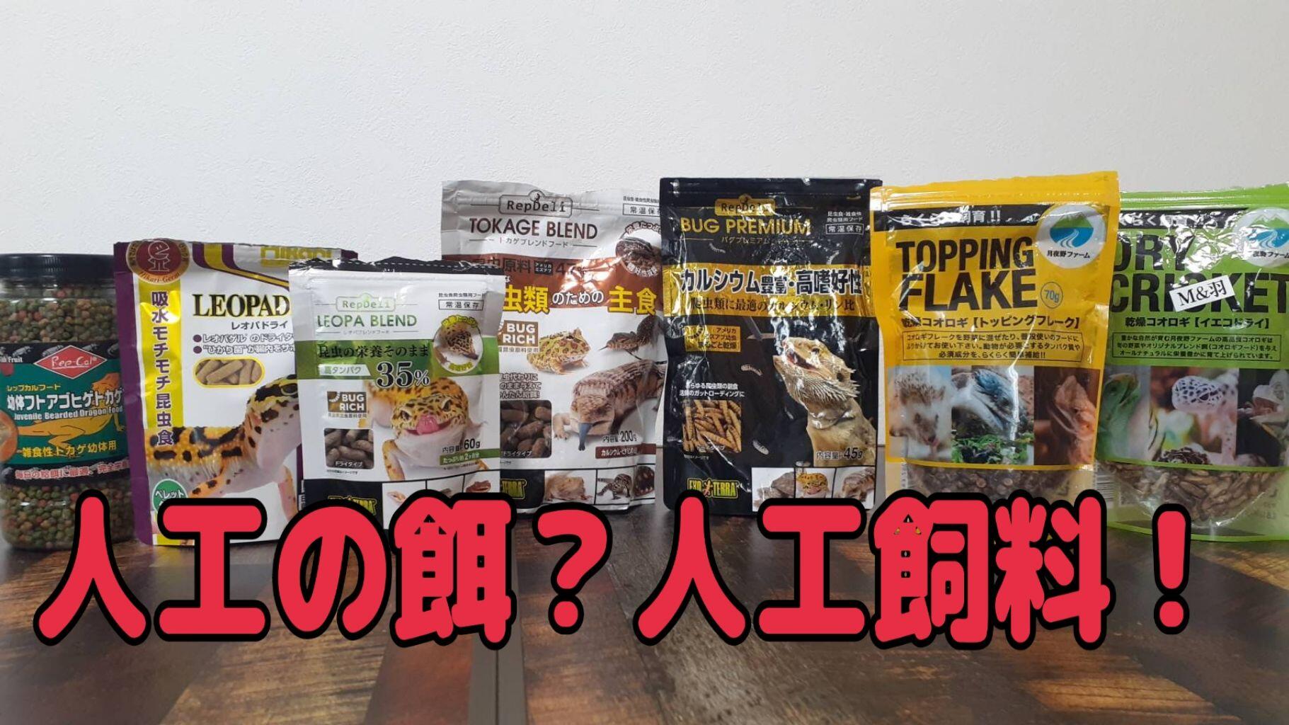 カナヘビの餌にかつおぶしは危険？食べる噂の真相と安全な代用食