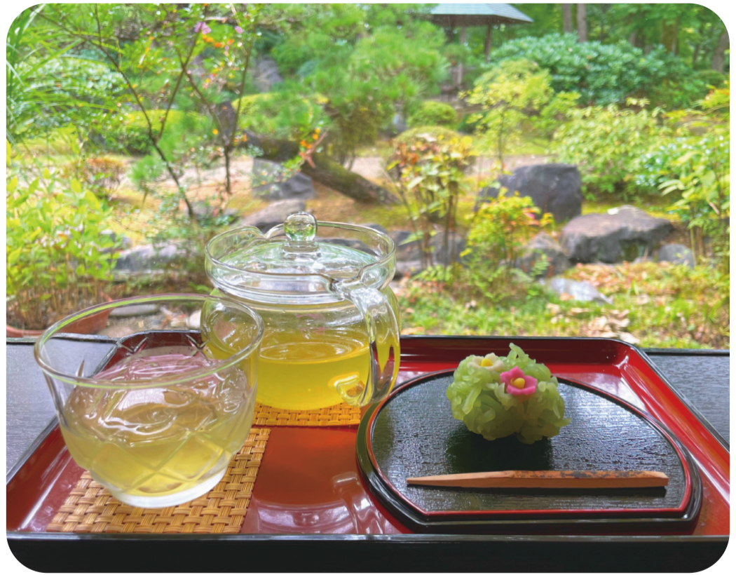 所沢航空公園の茶室「彩翔亭」人気の真相！抹茶と日本庭園の全貌