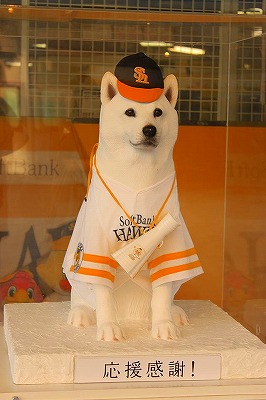 【まとめ】 ソフトバンク 犬 の 声 経歴＆学歴まとめ 2026 #644