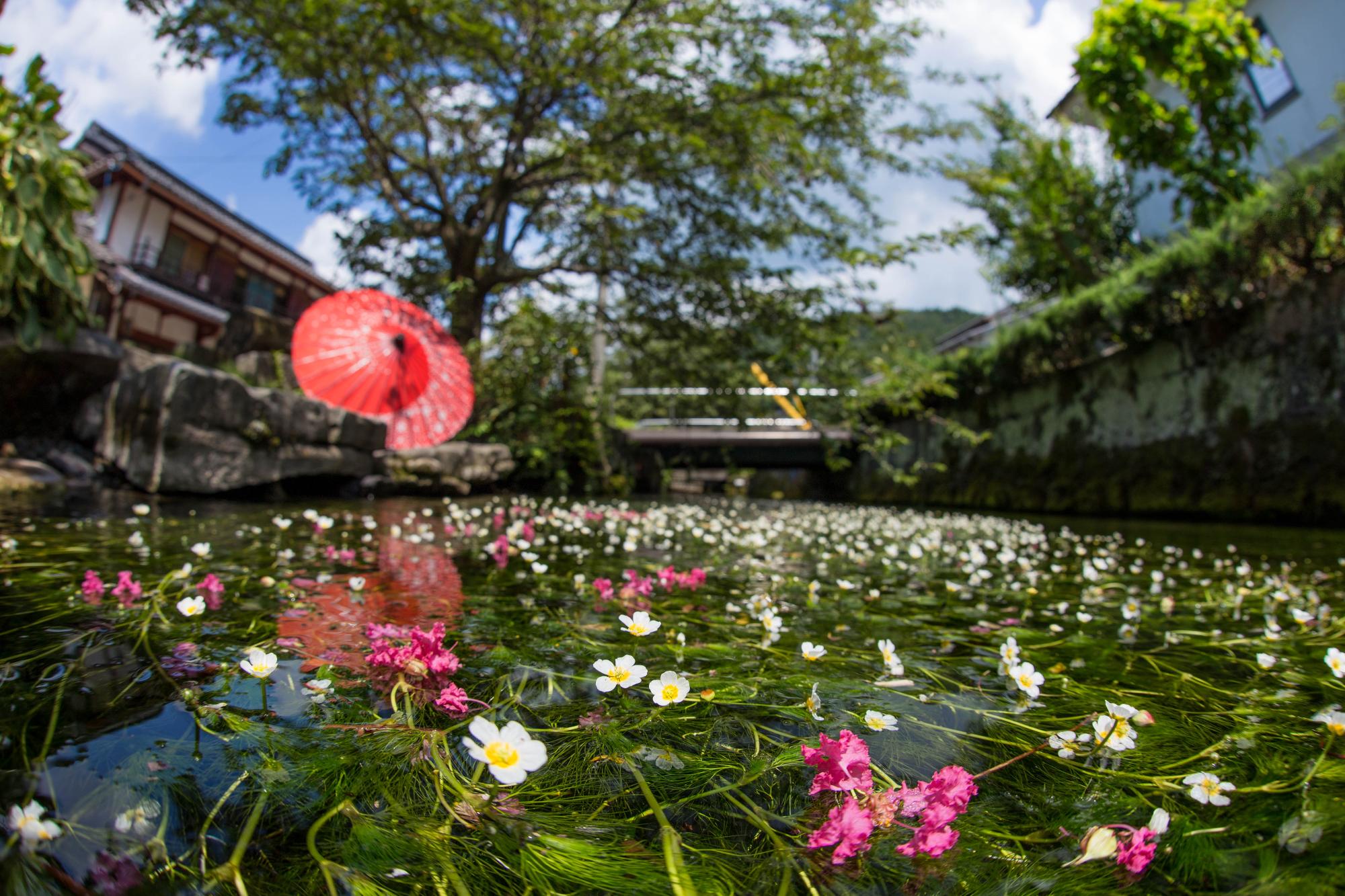 「自分はバイかも？」気づくきっかけ・特徴と診断チェック徹底解説