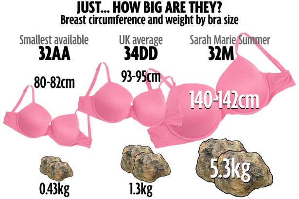 What Is the Largest Bra Cup Size