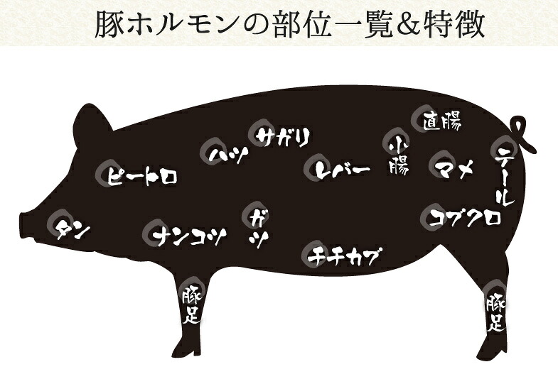 豚ホルモン部位大全！味・食感の違いと絶品焼き方の極意