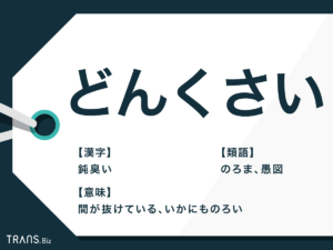 【最新】 どん くさい と は 最新情報まとめ 2026 #605