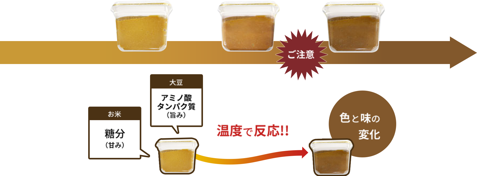 味噌の保存方法は常温Ng？冷凍が最強な理由とプロ直伝の長持ち術