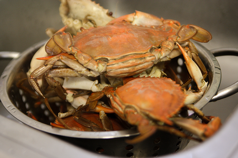 How to Cook Live Blue Crabs