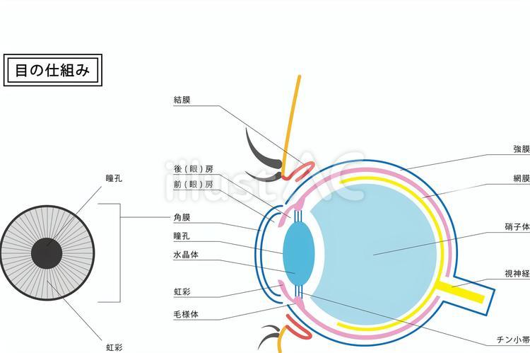 【必見】 目の下 の たるみ を 取る 方法 ためして ガッテン 衝撃の最新ニュース #776