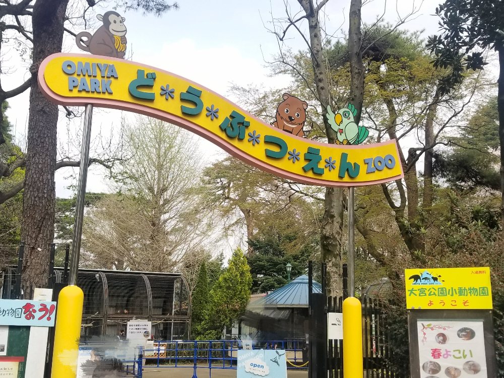【2026年最新】入園無料でここまで見せるか！「大宮 公園 小 動物園」が今、大人の隠れ癒やし拠点として熱い視線を集める理由