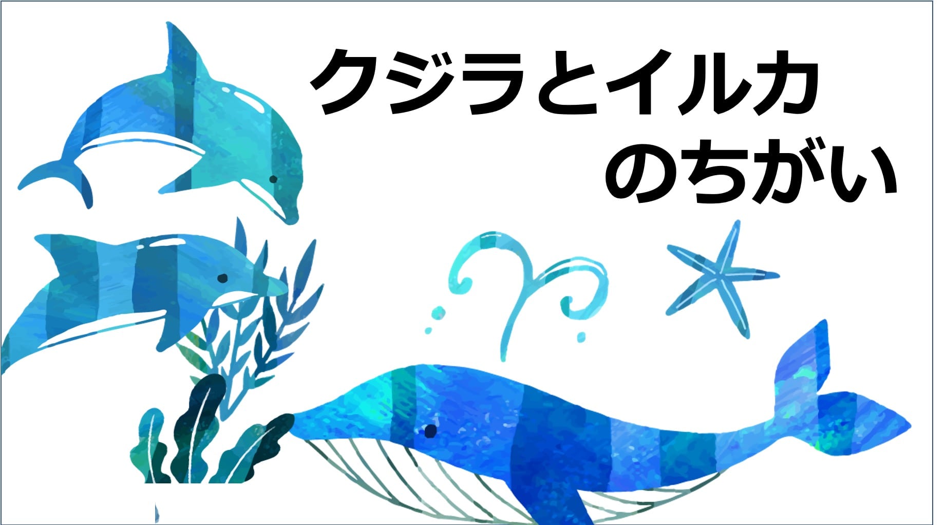 クジラとイルカの違いは体長4Mだけ？生物学的真相とシャチの分類を徹底解明