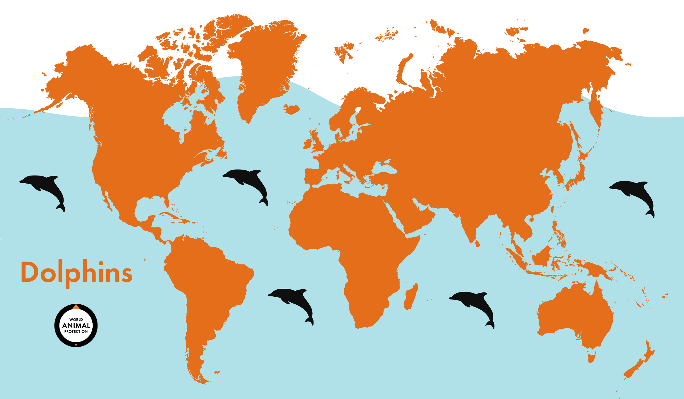 Where Does It Live Dolphin
