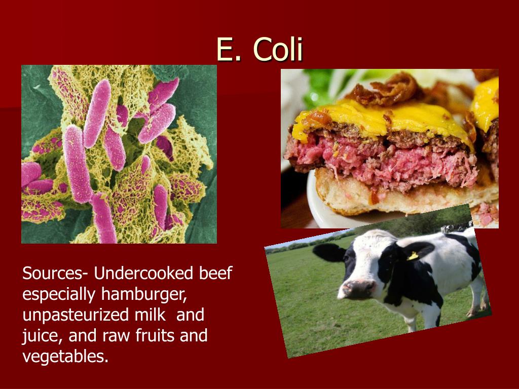 Can E Coli Be Cooked Out
