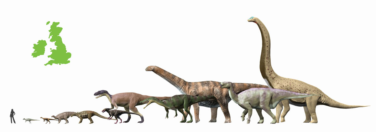 What Dinosaurs Were in the Uk
