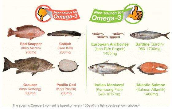 Fish in High Cholesterol