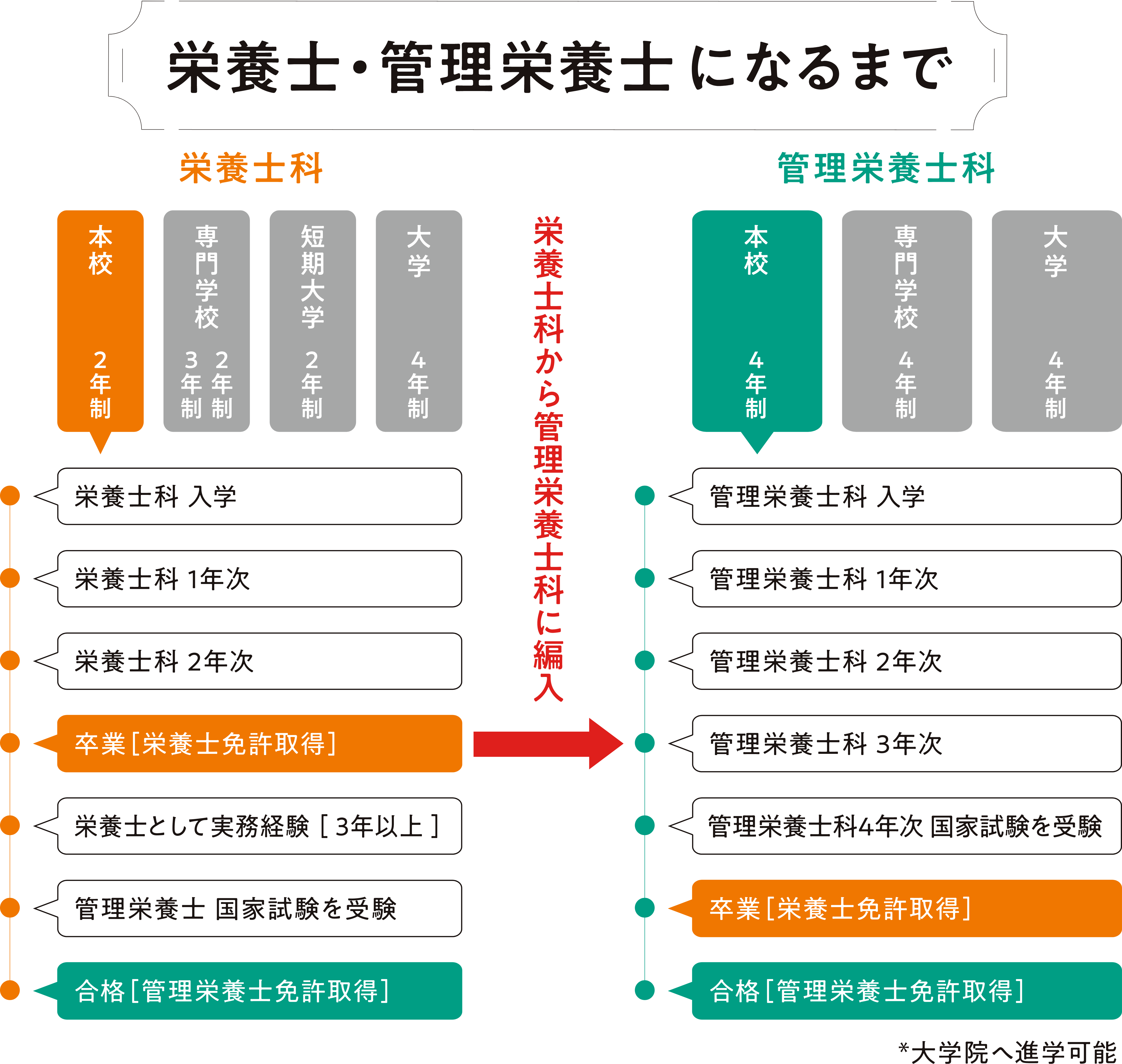 管理栄養士と栄養士の違いを徹底比較！年収格差と難易度の真実