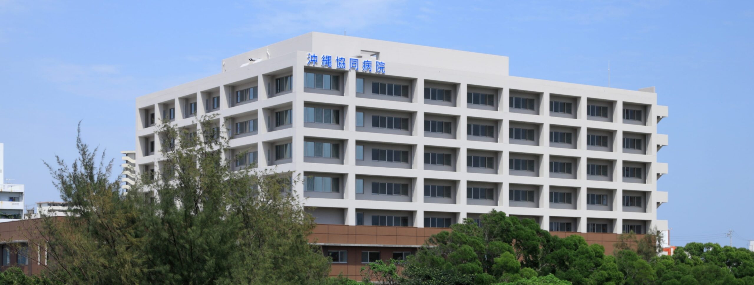 沖縄協同病院の評判と口コミは？外来予約や面会制限・救急の実態解説