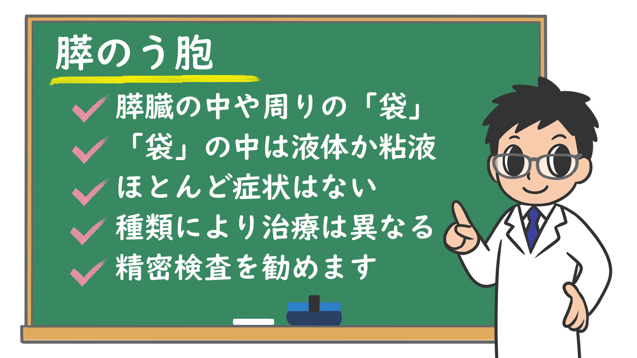 膵嚢胞は本当に心配ない？放置Ngのサイン5つと2026年最新判定基準