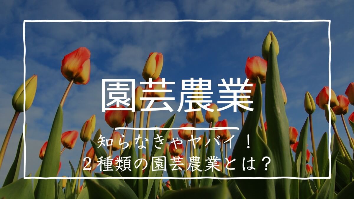 園芸農業とは？一般農業との違いや特徴・2026年の最新動向を徹底解説