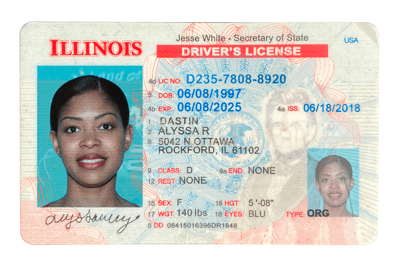 Illinois Drivers License
