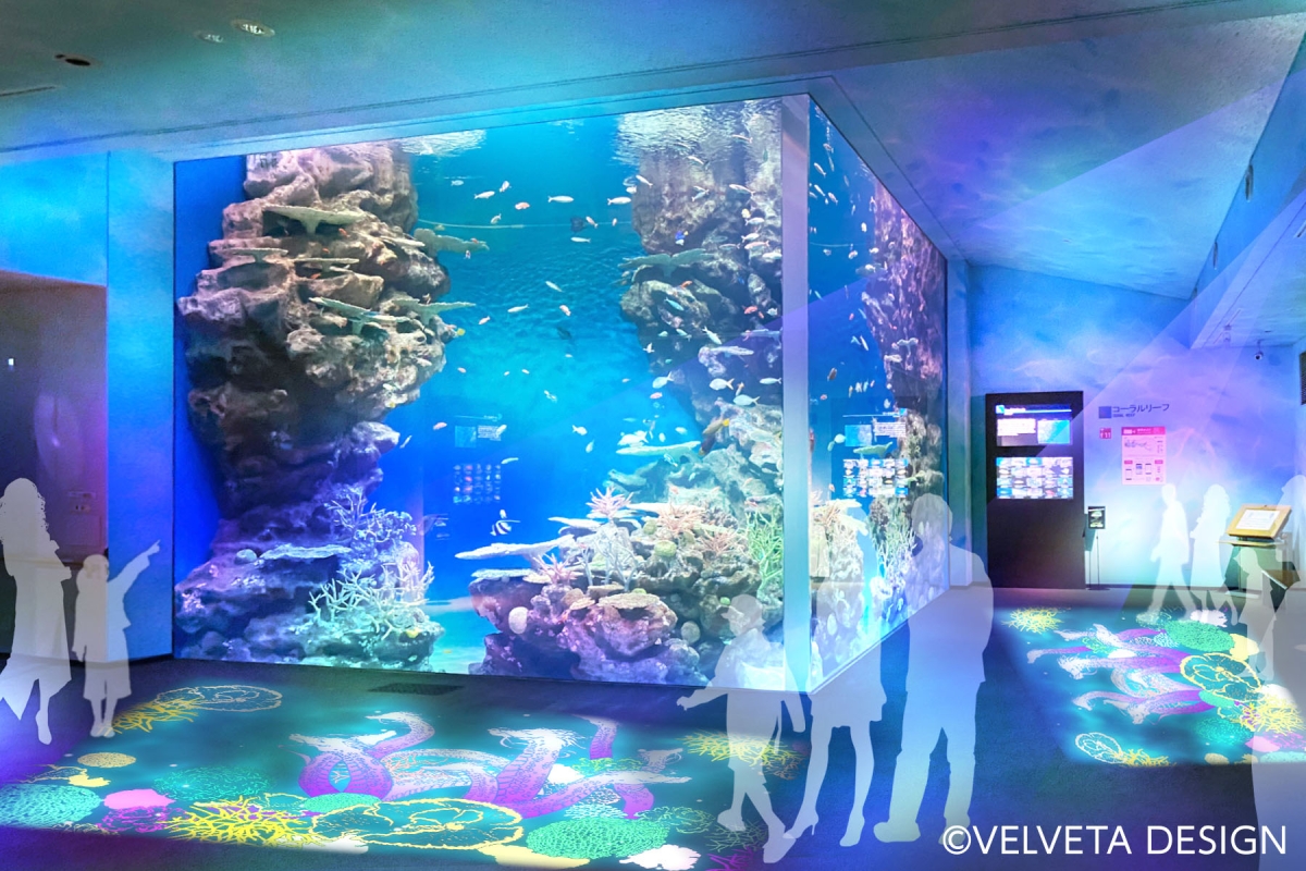 しまね海洋館アクアス完全攻略！バブルリングの裏技と2026最新情報