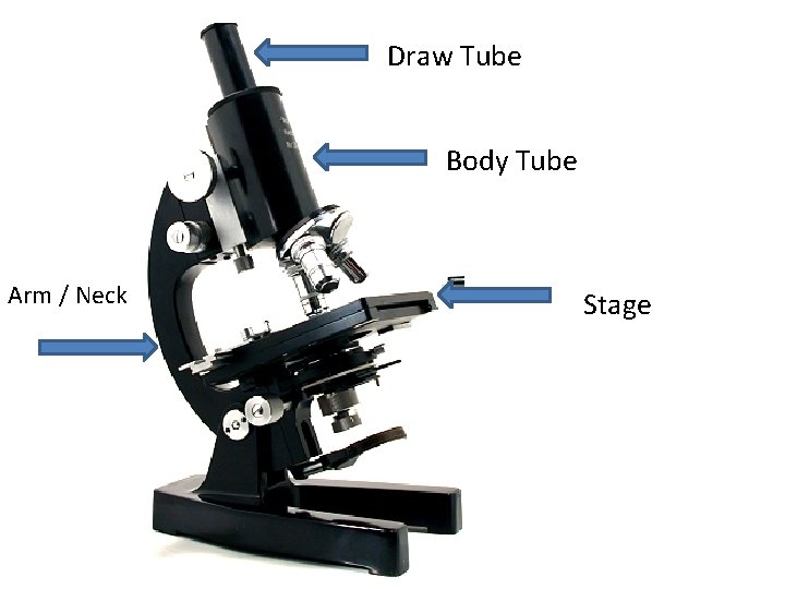 Microscope Body Tube Function